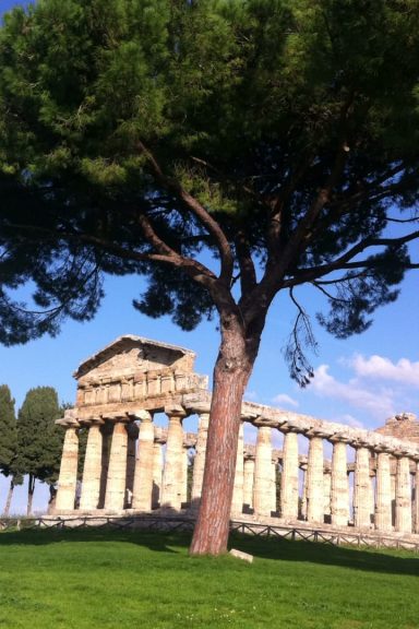 Tempio di Atena guida turistica paestum